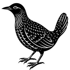 Minimalist Oilbird on White Background