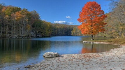 Autumn Serenity: A Vibrant Maple by a Tranquil Lake