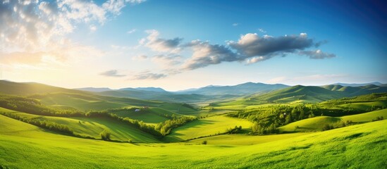 Obraz premium Vast green landscape under a bright blue sky with fluffy clouds rolling over softly rolling hills illuminated by warm sunlight.