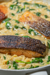 Close-up of a cooked salmon filet with orzo pasta and spinach in a white pan, showcasing a healthy and delicious meal
