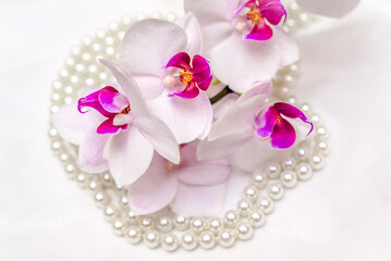 The branch of purple orchids on white fabric background
