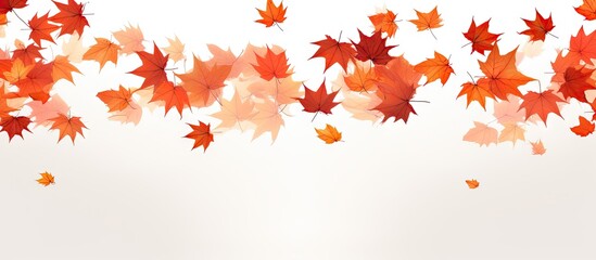 Autumn maple leaves in vibrant oranges and reds falling from the top against a soft white background creating a gentle shadow effect.