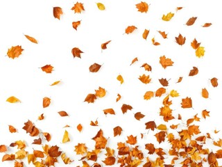 Falling dry autumn leaves swirling in the air, isolated on a white background, floating, yellow