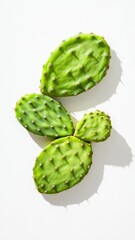 Fototapeta premium Artisanal Food Packaging Crafted from Prickly Materials for Eco-Friendly and Unique Culinary Experiences