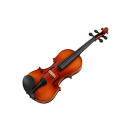 Obraz premium Beautiful Violin on White Background for Music Lovers