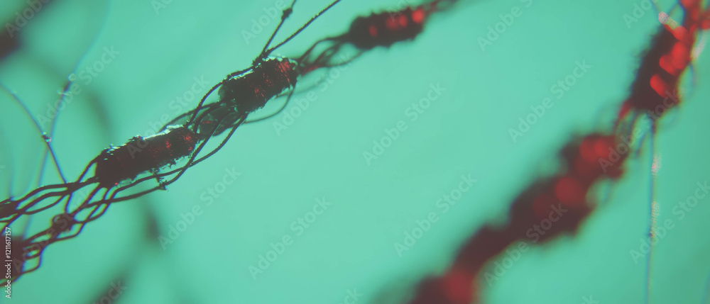 Leinwandbilder abstract composition of wires creating a sense of depth and speed in vibrant tones