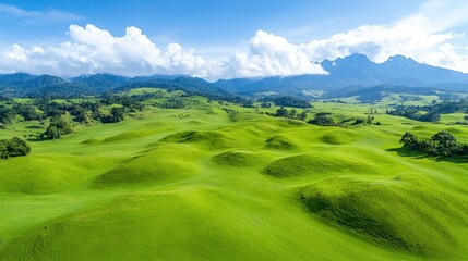 Fototapeta premium Rolling green hills stretch towards distant mountains under a blue sky with white clouds during a bright sunny day.