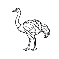 an ostrich isolated line art vector
