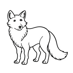illustration of a fox on white background