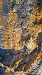 Textured Coastal Rock Surface with Vibrant Colors