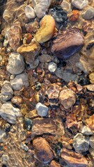 Vivid Textures of River Rocks Under Shimmering Water