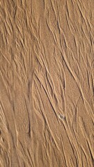 Artistic Sand Waves on Coastal Shoreline