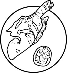 Tilapia fish Indonesian food coloring page