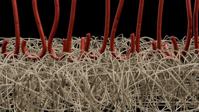 Close view of hook and loop fasteners. Extreme magnification of hook-and- loop fasteners.  3d animation rendering.