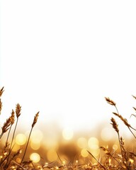 Golden Wheat Field at Sunset Nature Photography Tranquil Landscape Soft Lighting