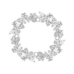 Raspberry vector black and white wreath hand drawn with ink. Frame with leaves, berries of raspberry on a white background. Template for label design