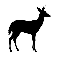 Obraz premium Elegant Minimalist Unicorn Line Art Drawing Simple Design Graphic cute horse black white clean image