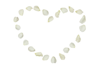 white roses that are scattering in the air