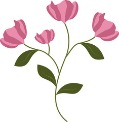 Flowers Illustration