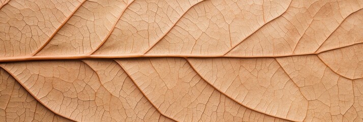 Natures beauty shines through intricate leaf patterns, showcasing the harmony of organic design and natural textures in soft earthy tones