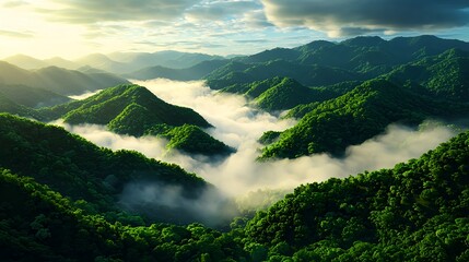 Obraz premium Lush Green Mountains Surrounded by Misty Fog at Sunrise