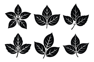 Bay Leaf Silhouette icon set Vector. Easily Customizable for Black Designs