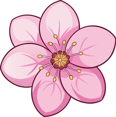 pink flower on white background