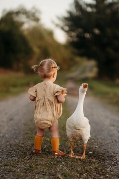 baby in pigtails with a goose on a path