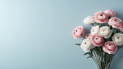 Valentine watercolor concept. A beautiful bouquet of pink and white ranunculus flowers against a soft blue background.