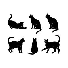 A collection of six black cat silhouettes in various poses, including sitting, stretching, leaping, and playing, displayed on White background.