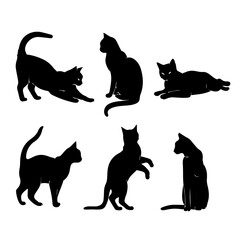 A collection of six black cat silhouettes in various poses, including sitting, stretching, leaping, and playing, displayed on White background.