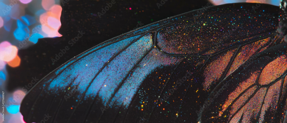 Poster exploring the vibrant patterns and textures of butterfly wings in stunning detail