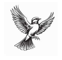 Skylark Flying vector image. Skylark Flying image Illustration on white background.