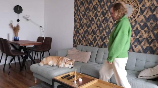 Living Room featuring delightful Corgi, paired with Stylish and Inviting Decor