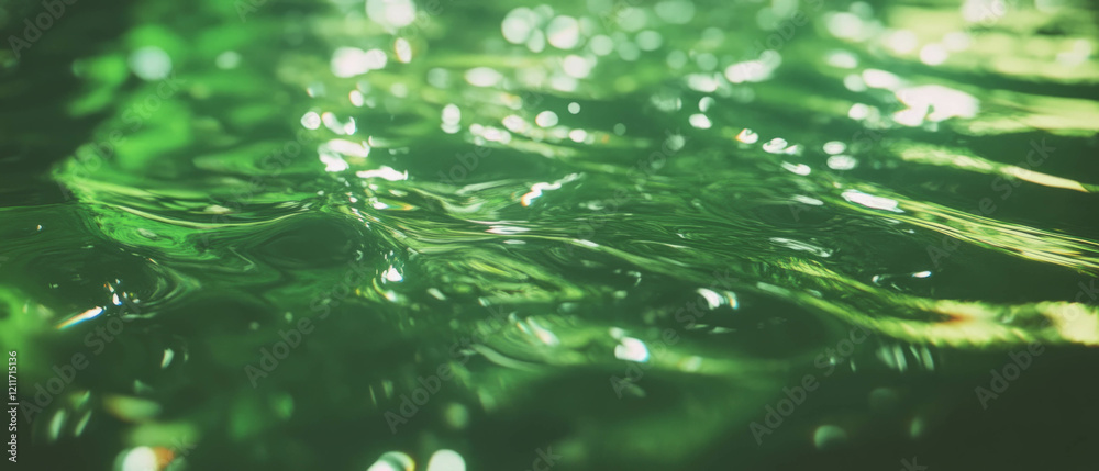 Poster Reflective green algae texture on water surface creating a slimy appearance