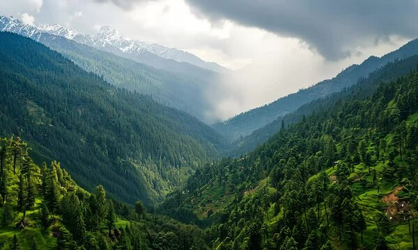 Expansive view of lush green valley surrounded by majestic mountains under a dramatic cloudy sky highlighted by patches of sunlight creating a serene natural atmosphere
