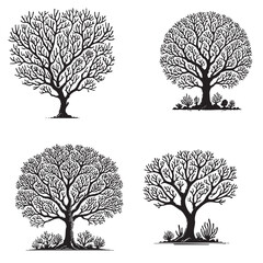 Monochrome Vector Silhouettes of the Coral Tree Isolated on a White Background"