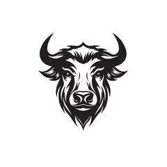 Fototapeta premium bull head vector