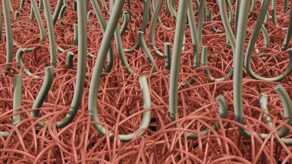 Close view of hook and loop fasteners. Extreme magnification of hook-and- loop fasteners.  3d render illustration