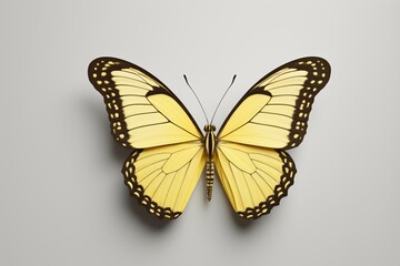 Fototapeta premium yellow butterfly with black spots on wings on a white surface