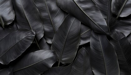 Obraz premium Dark Tropical Leaves Texture Background Pattern