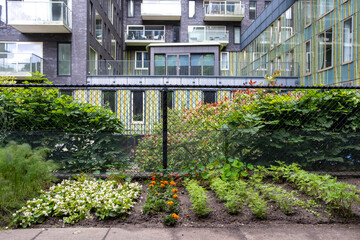 The image captures an urban community garden, featuring colorful flowerbeds that add vibrancy and life to the surrounding modern structures and greenery.