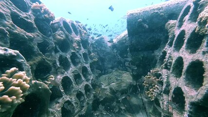 Artificial reef structures designed to support marine conservation. Coral growth and schools of fish thrive within hollow concrete modules. Highlighting the beauty of underwater restoration efforts.