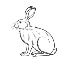 Obraz premium rabbit silhouette on white background with solid background