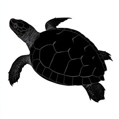 Fototapeta premium Elegant black silhouette of a turtle.
