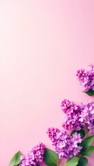 Delicate lilac flowers arranged along the bottom edge of a pink background, offering a serene and fresh aesthetic, perfect for spring-themed designs or floral greeting cards. Social media banner.