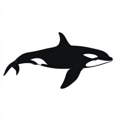 Fototapeta premium Orca Silhouette: Elegant aquatic mammal