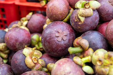 Close-Up of Freshly Harvested Mangosteens at a Local Market