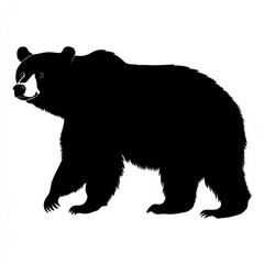 Majestic bear silhouette