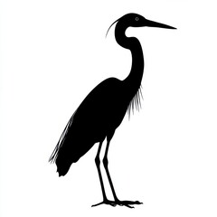 Obraz premium Silhouette of a Heron
